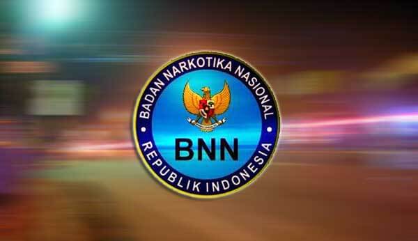 BNN: Pengguna Narkoba Indonesia 3,3 Juta Orang di 2017
